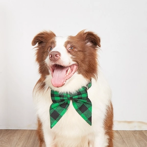 Detail of a large dog wearing a green and black plaid bowtie collar on fabric texture