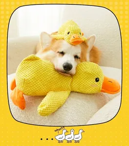 Détail du jouet canard en peluche jaune avec texture alvéolée utilisé par un Corgi