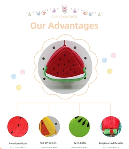 Detailed views of plush watermelon coin purse with soft fabric and zipper closure