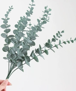 Close-up of realistic grey-green eucalyptus leaves with natural texture for home decor