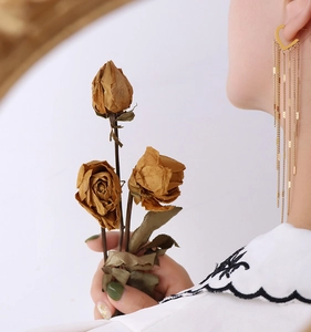 Elegant 18k gold plated long fringe tassel earrings with heart-shaped studs on female model
