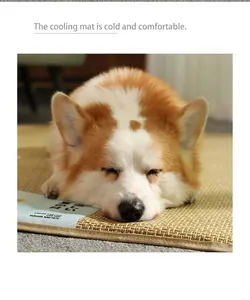 Nahaufnahme einer Corgi auf einer kühlenden Rattanteppich-Matte für Hunde und Katzen