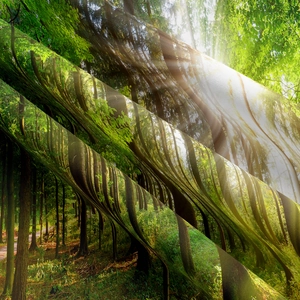 Detail showing the fine textile texture of the forest landscape print with sunlight rays
