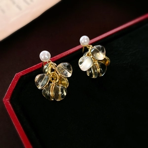 Macro de boucles d'oreilles perles avec pétales transparents sur boîte à bijoux en velours