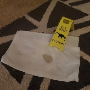 Mini yellow caution sign with Cat Vomit text and pet stain icon on a textured carpet