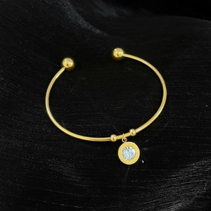 Detailed shot of a gold titanium bangle featuring a Roman numeral pendant with zircon