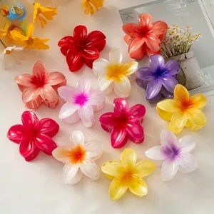 Flat lay of diverse colorful gradient frangipani flower hair claws on a beige background