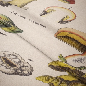 Macro shot of bohemian mushroom botanical print and linen texture on wall tapestry