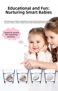 Children observing the process of sea shell hatching into a bracelet in water cups