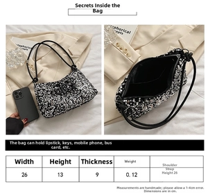 Detailed size guide for sequin baguette bag with internal capacity and dimensions