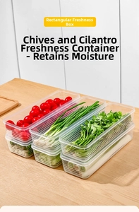 Detailed view of clear rectangular storage boxes keeping green onions and herbs fresh
