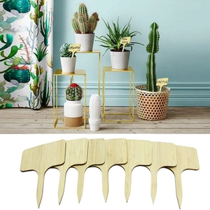 T-shaped bamboo plant markers shown in pots for succulents like aloe vera and cactus