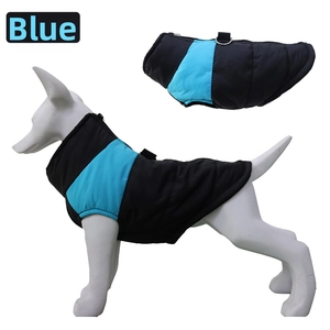 Detail of dog winter vest with integrated D-ring harness and waterproof blue fabric