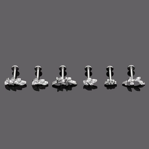 Détail des piercings labret en titane G23 argenté avec zircons marquise en feuilles