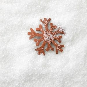 Flocon de neige en bois naturel avec cristaux artificiels sur fond blanc pur