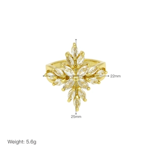 Detailed view of gold cross ring with dimensions 25x22mm and weight 5.6g in macro photography