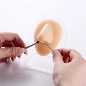 Detail of soft silicone nose model on acrylic stand with stainless steel piercing tools