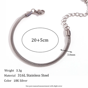 Minimalist 316L stainless steel S-chain anklet with silver finish and 20+5cm length