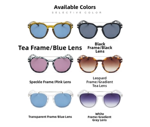 Six assorted colors of vintage double-bridge sunglasses with clear and tinted PC frames