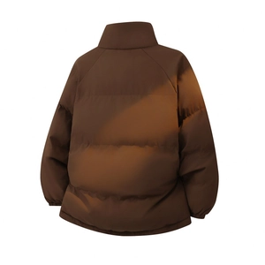 Back view of a men's heavy padded puffer jacket featuring a stand collar and matte finish