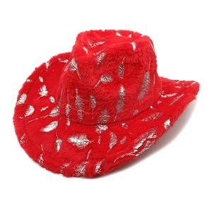 Détail macro du chapeau de cowboy en fausse fourrure rouge aux motifs plumes argentées