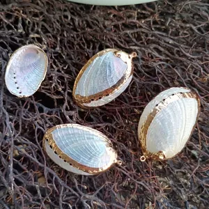 Natürliche Abalone-Muschelanhänger mit vergoldetem Rand für DIY-Schmuckherstellung