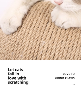 Close-up of cat paws scratching a durable natural sisal fiber ball pet toy