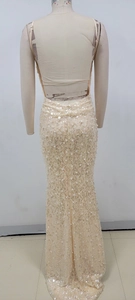 Detail of elegant backless evening gown with heavy beaded pearls and champagne sequins