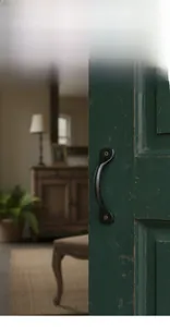 Detalle de tirador de puerta arqueado de hierro fundido negro en una puerta de madera verde