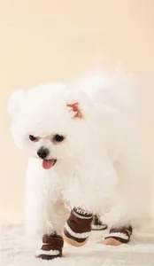 Gros plan de bottines d'hiver pour chien avec doublure polaire et velcro sur un Bichon