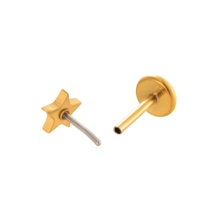 Golden stainless steel star-shaped push-pin earrings with flat back labret jewelry
