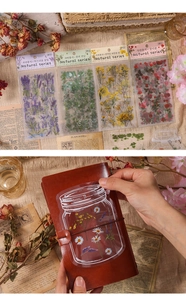 Detail showing 6-piece natural series PET plant stickers on a vintage notebook cover