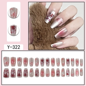 Cat eye cat and dragon press-on nails with red fireworks pattern and cartoon art