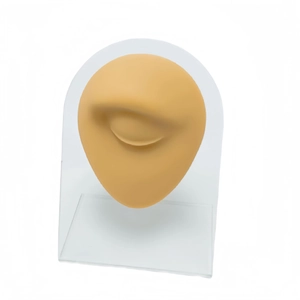 Silicone human eye model on acrylic stand for piercing practice and medical display