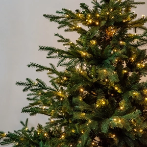 Realistic Christmas tree with warm white LED fairy lights against a neutral wall