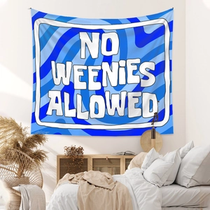 Detail of blue spiral tapestry with No Weenies Allowed slogan hanging on a bedroom wall