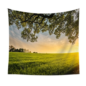 Tapisserie bohème avec paysage naturel au coucher du soleil pour décoration murale