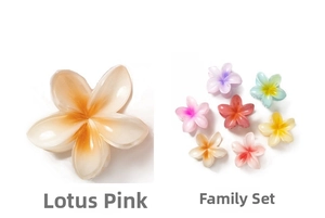 Macro detail of 8cm plumeria claw clip in lotus pink and assorted gradient resin colors