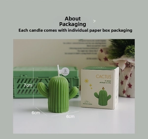 Gros plan d'une bougie cactus parfumée verte avec texture et boîte cadeau illustrée