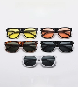 Classic square frame sunglasses in five assorted colors with metal temple hinge detail