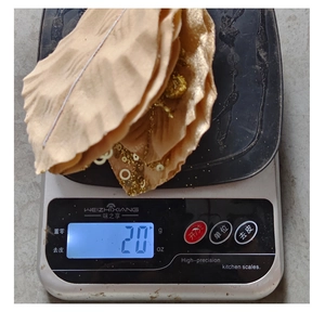 Gold sequin Christmas flower on a digital scale weighing exactly 20 grams