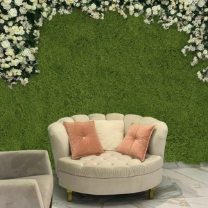 Detailed view of luxury cream velvet armchair with golden legs against green moss wall