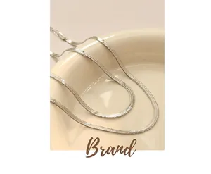 Detail of silver flat snake chain necklace on white ceramic plate with metallic sheen