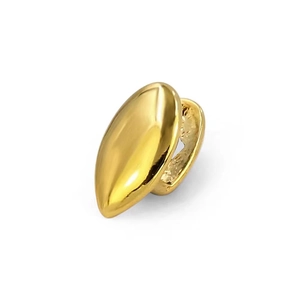 Macro detail of a single golden canine hip-hop grillz with polished sharp finish