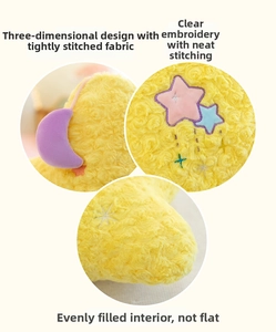 Detail of star plush pillow featuring rose swirl fabric and intricate floral embroidery