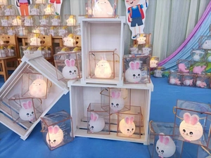 Detail of cartoon rabbit night lights in clear acrylic gift boxes with gold frames