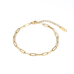 Detail of 18K gold stainless steel paperclip chain with lobster clasp and S.Steel tag