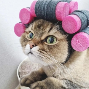 Funny pink foam hair curlers for cats and dogs, cute pet wig hat costume for Halloween
