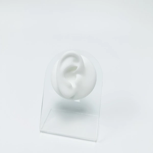 Detail of a white silicone human ear model mounted on a clear acrylic display stand