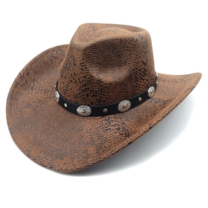 Detailed macro view of the brown snakeskin texture and silver studs on the western cowboy hat